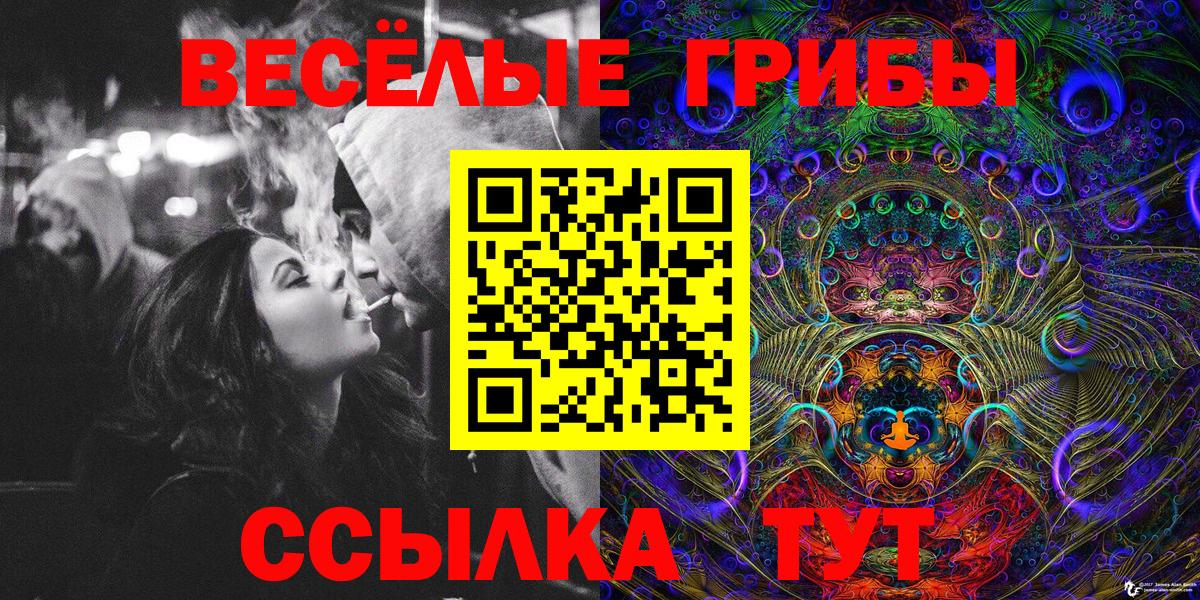 Галлюциногенные грибы Psilocybine cubensis Гусев