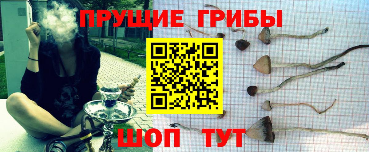 Галлюциногенные грибы GOLDEN TEACHER  Вход с VPN  Гусев 